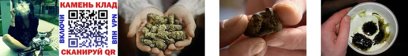 ГАШИШ AMNESIA HAZE  где купить наркотик  Белозерск 