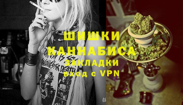 сатива Арсеньев