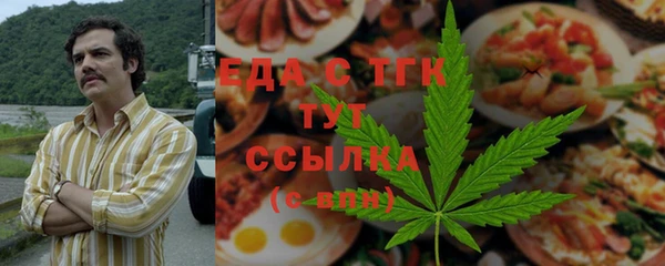 хмурый Аркадак
